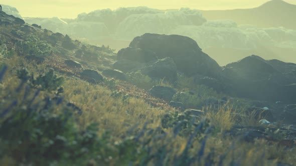 Antarctic Icebergs Near Rocky Beach alt