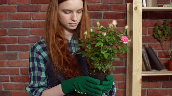 Beautiful Redhead Girl Looking After Flowers