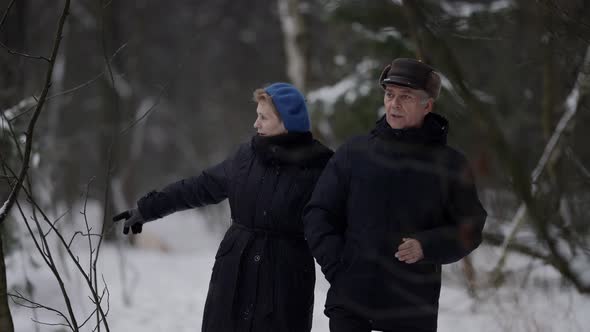 The Slow Motion of an Elderly Woman and Man in Love Walking Through the Woods on a Winter Day