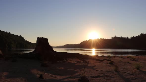 Tree Stump Sunset