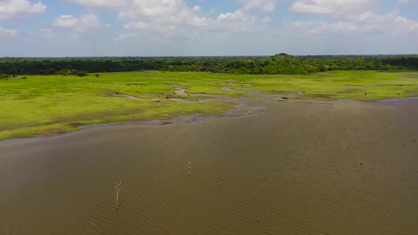 Lake in the National Park of Sri Lanka