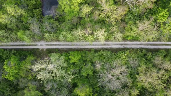 Aerial Looking Down on Small Gravel Road Straight Through Green Forest