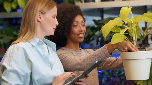 Two positive female florists sees how to transplant flower