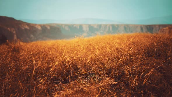 Golden Rocks and Grass in Mountains