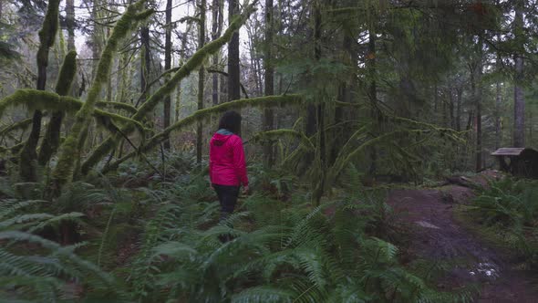 Adventurous Girl Hiking in Canadian Nature