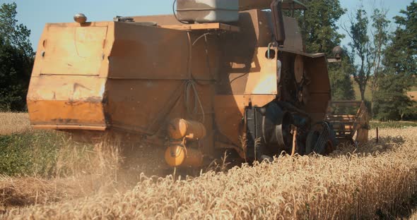 Machine Harvesting on Big Yellow Field