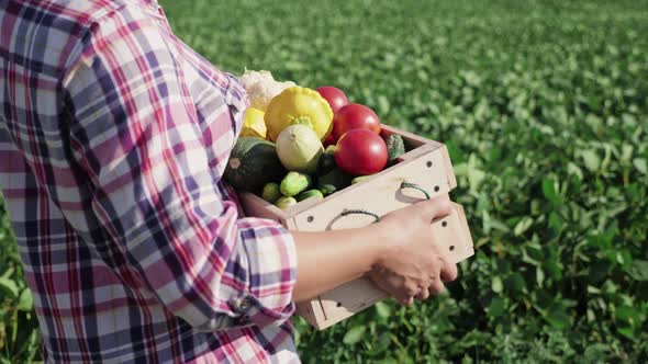 Female Farmer Carries a Wooden Box with Different Vegetables