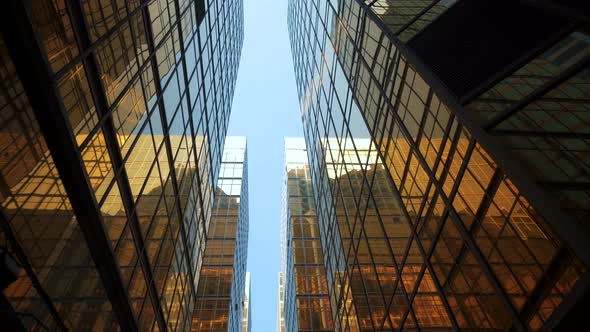 Office Building Windows View Of Skyscraper With Many Corporate Offices Of Success Companies.