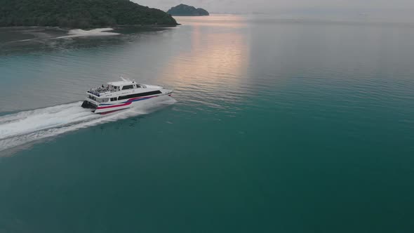 Speed catamaran goes into the sunset in the middle of green sea