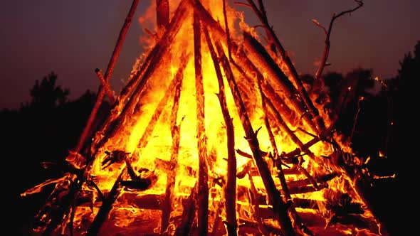 Big Campfire of the Logs Burns at Night in the Forest