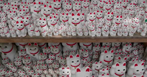 Gotokuji Shrine with lots of cat statues