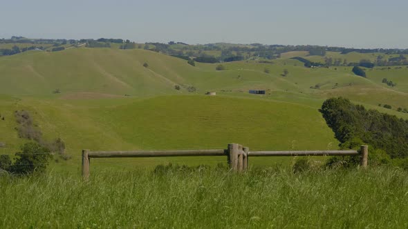 Beautiful lush green hills in Victoria Australia with old wooden farm fencing.