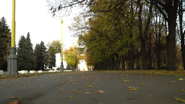 Absolutely Empty Autumn Park Alley. Camera in Motion