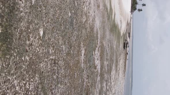 Vertical Video of Low Tide in the Ocean Near the Coast of Zanzibar Tanzania Aerial View