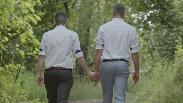 Gay couple walking together in a forest holding hands