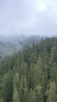 Vertical Video of Fog in the Mountains