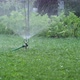 Irrigation of the garden with sprinkler irrigation of the lawn. - VideoHive Item for Sale