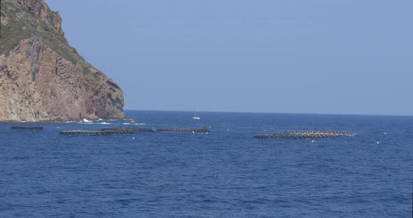 Aquaculture Cage