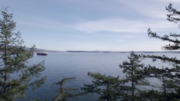 Drone flying between trees with cargo ship in background, Vancouver in Canada. Aerial forward