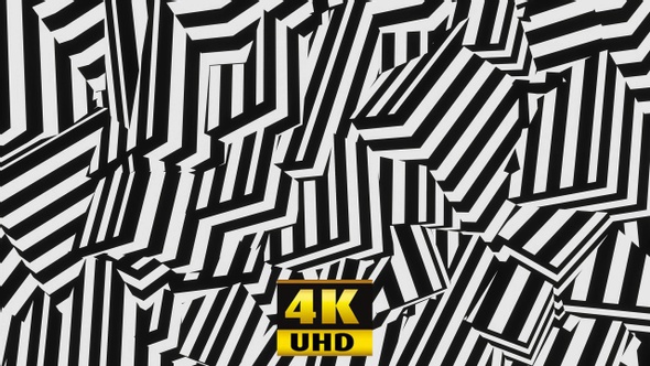 Background Zebra 4K