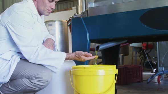 Technician examining olive oil