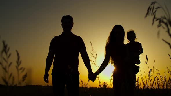 Family with Baby Daughter Walking on Meadow at Dusk