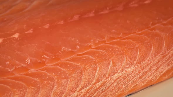 Raw Salmon Rotating On Plate