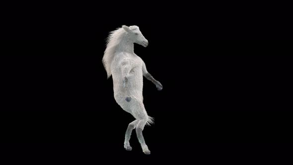 28 White Horse Dancing 4K