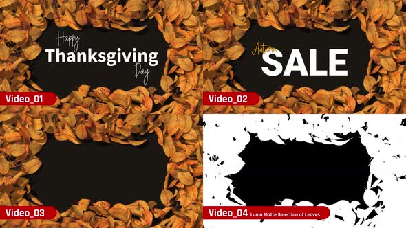 Autumn Leaves Reveal Happy Thanksgiving Day Text, Autumn Sale Offer Background, Luma Matte Selection