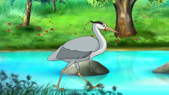 The heron goes to hunt a frog