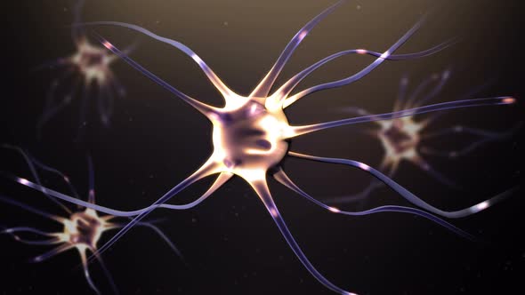 Neurons Background