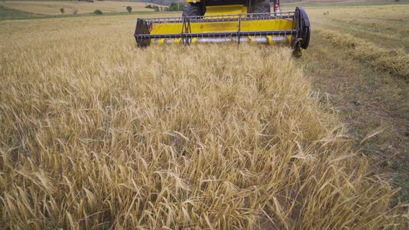 Agriculture.The harvested field.