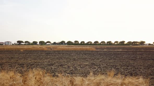 Dry Cultivated Field Without Water