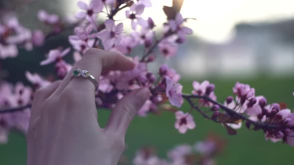 Man romantically took woman's hand near the flowers