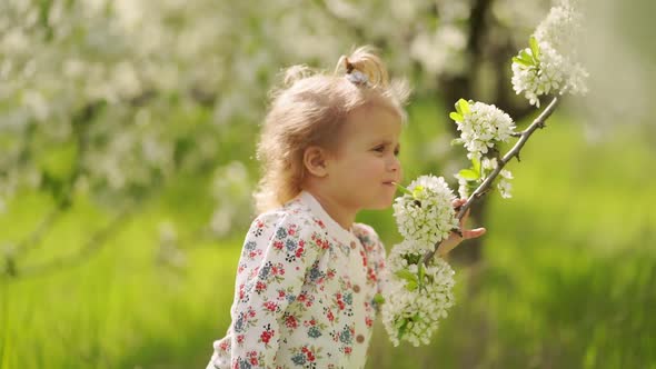 Little Cute Girl at Flowering Tree in Garden