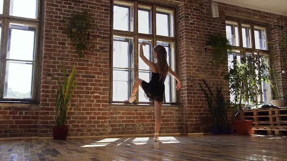 Professional Classic Ballerina Practices Ballet Moves in the Modern Class