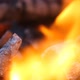 Bright Burning Wood - VideoHive Item for Sale