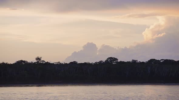 Amazon river flowing next to the peruvian rainforest, at sunset