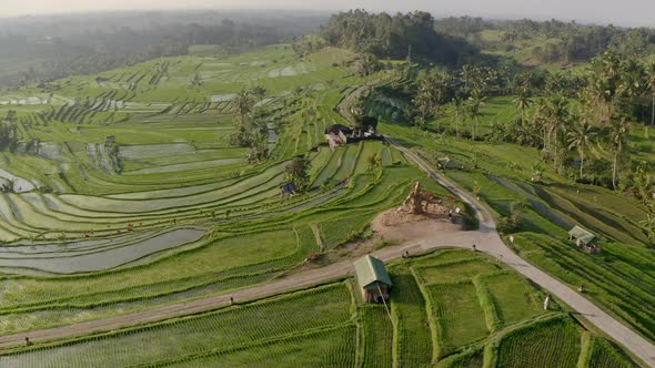 Rice Terraces with Narrow Roads in Between and Mountain Silhouettes