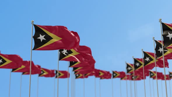 East Timor Row Of Flags 3D Animation