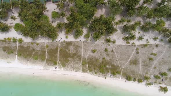 Aerial view of resort in the middle of forest, Maldives island.