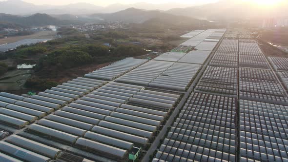 Greenhouse with Mountain village in mountain