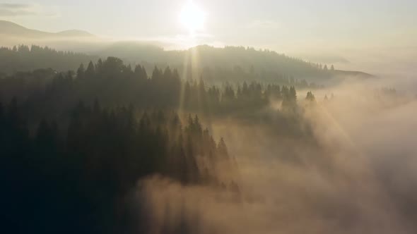 Mountains Foggy Sunset Autumn Morning Forest Mist Rays Sun