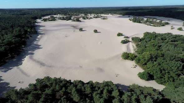 Drone footage flying away from sand dunes, revealing forest.