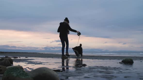 woman playing with her dog at the beach