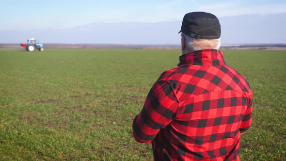 A Mature Farmer Looks at a Fresh Green Field After Winter, He Makes Plans for Harvesting and
