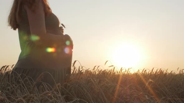 silhouette figure of happy pregnant red-haired young woman in dress standing in ripe wheat field