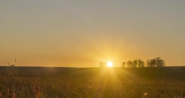 Flat Hill Meadow Timelapse at the Summer Sunset Time. Wild Nature and Rural Grass Field. Sun Rays