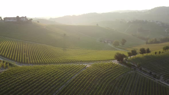 Barolo Vineyards in Langhe, Piedmont