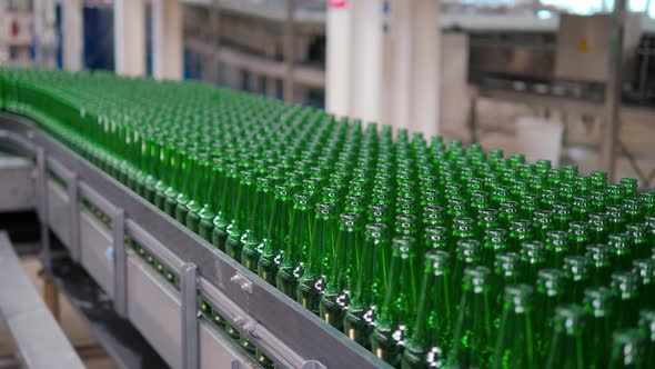 Beer Bottles On The Conveyor